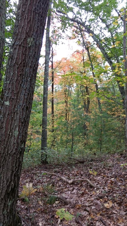 Rocky Woods Reservation