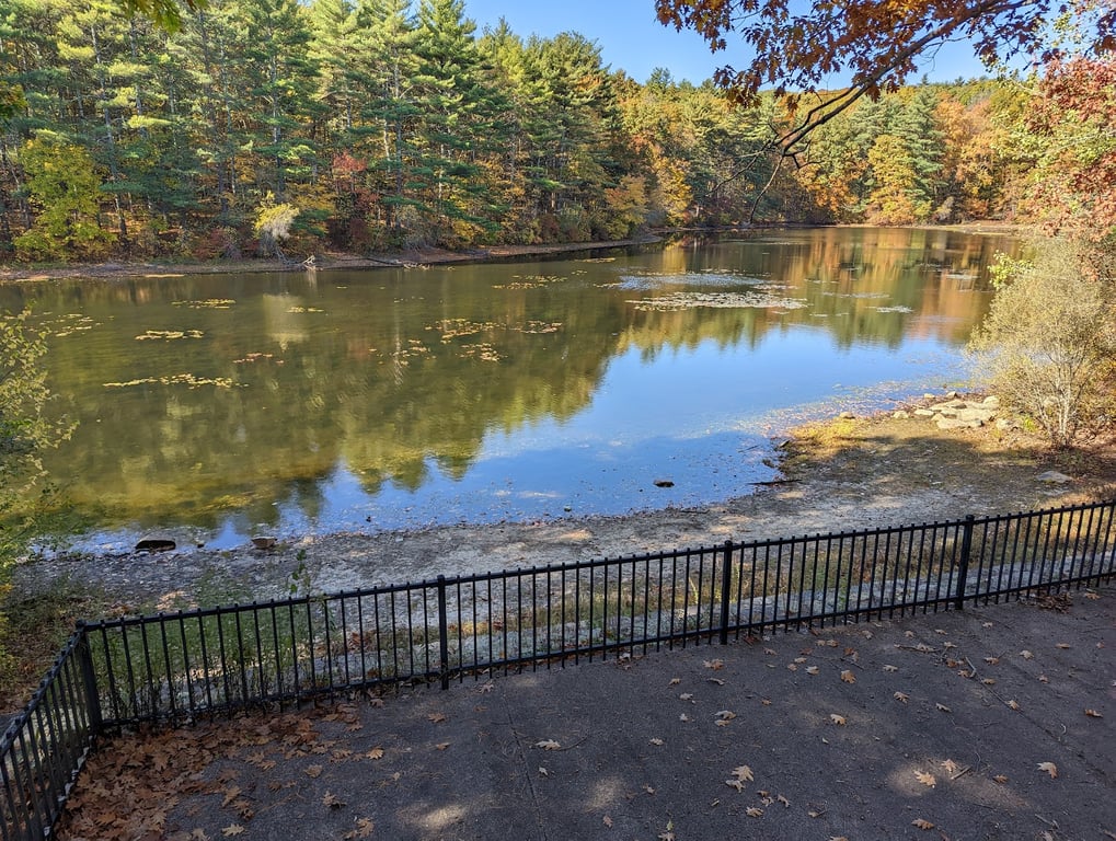 Rocky Woods Reservation