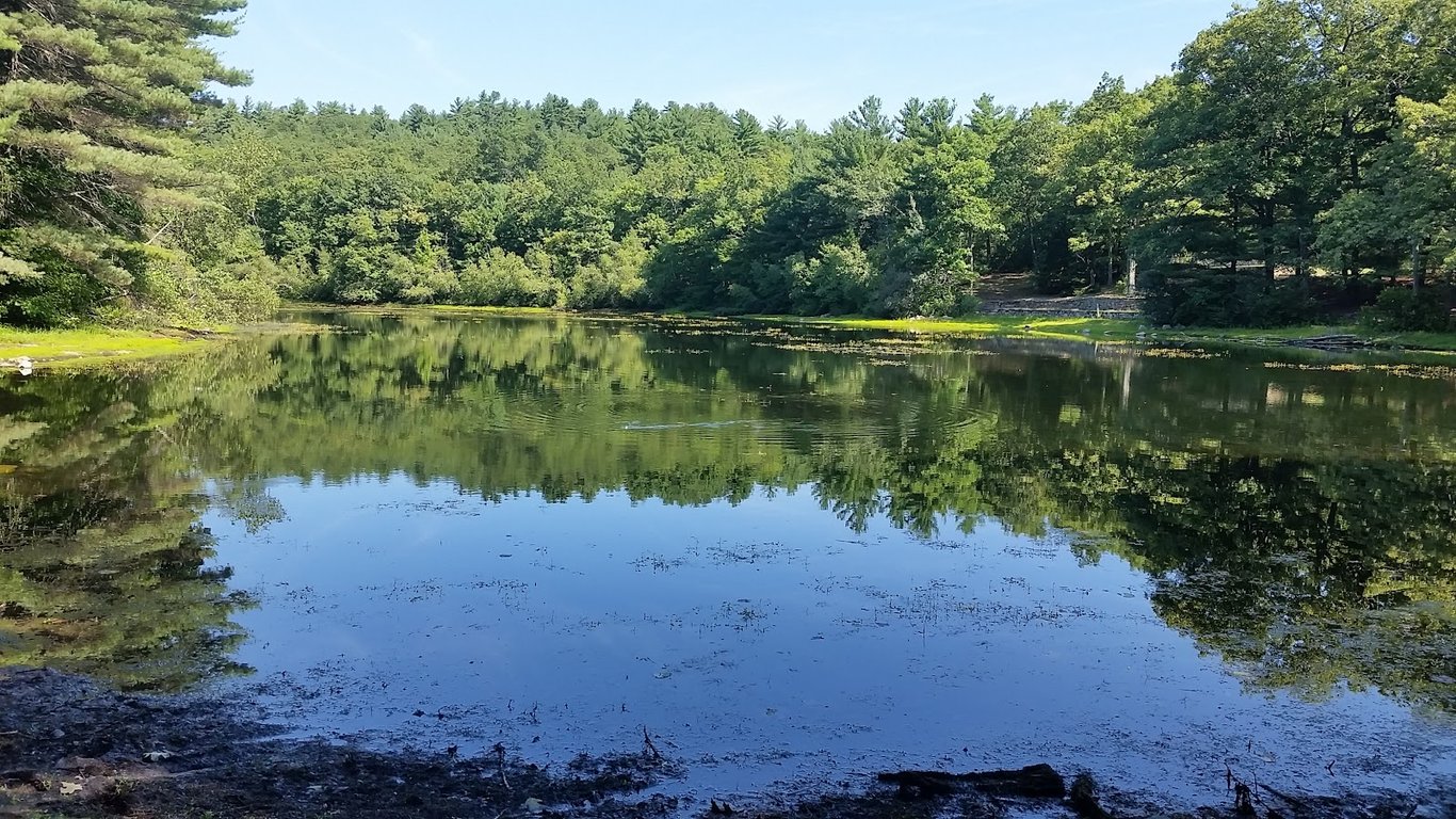 Rocky Woods Reservation