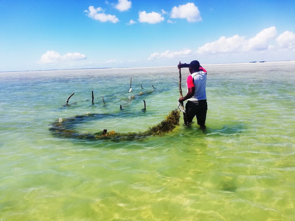 Matemo Island