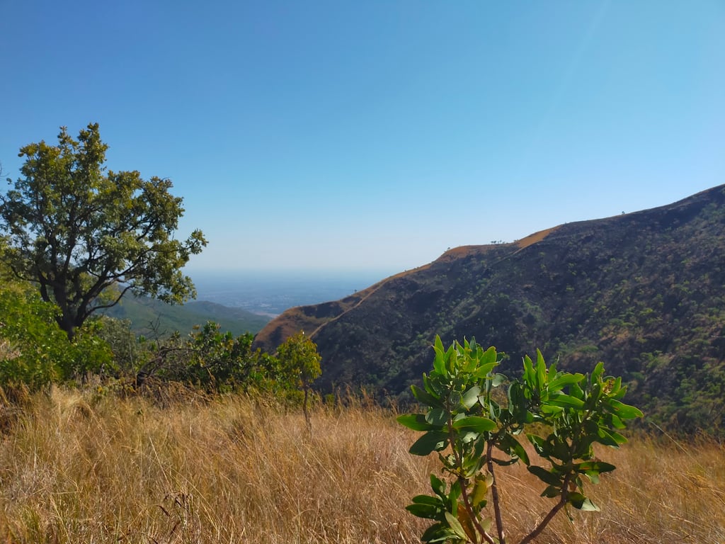 Mavuradonha Wilderness