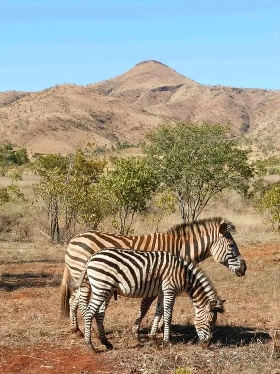 Mavuradonha Wilderness