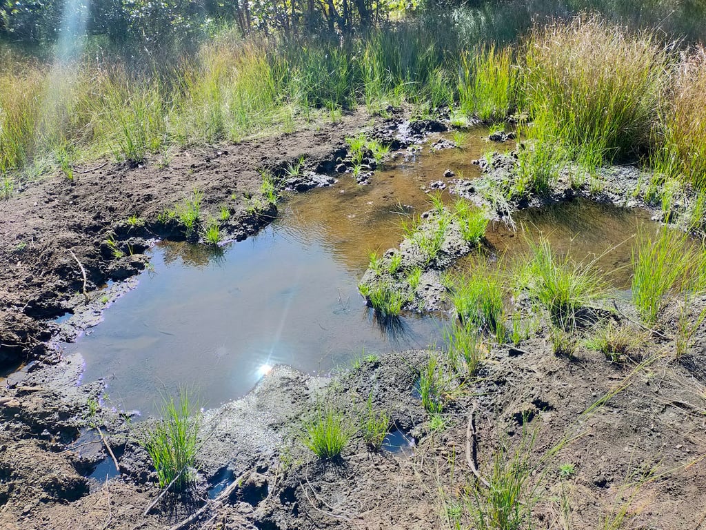 Mavuradonha Wilderness