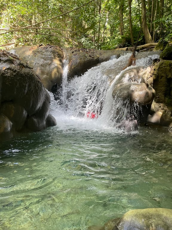 Mayfield Falls