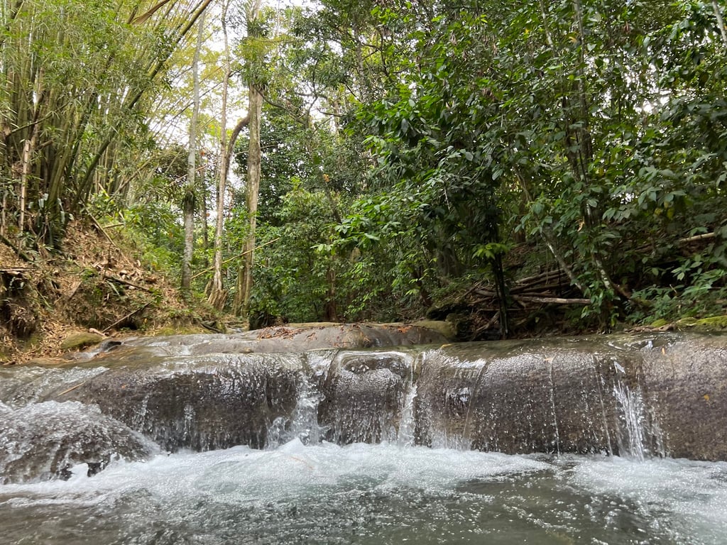 Mayfield Falls