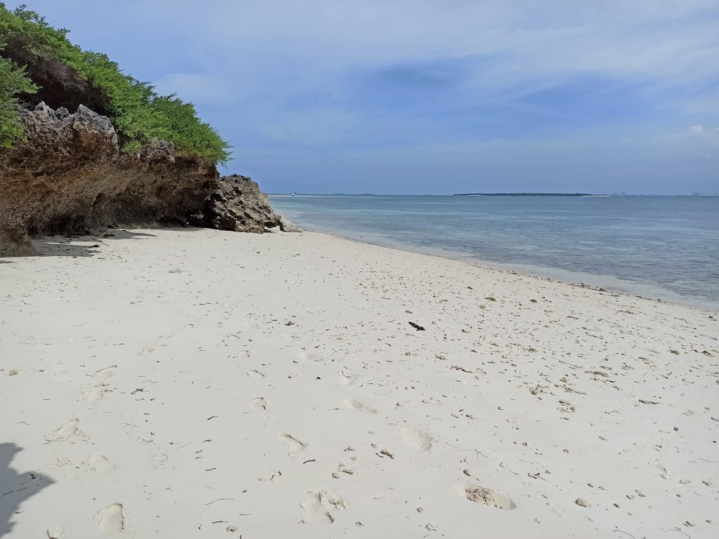 Mbudya Island