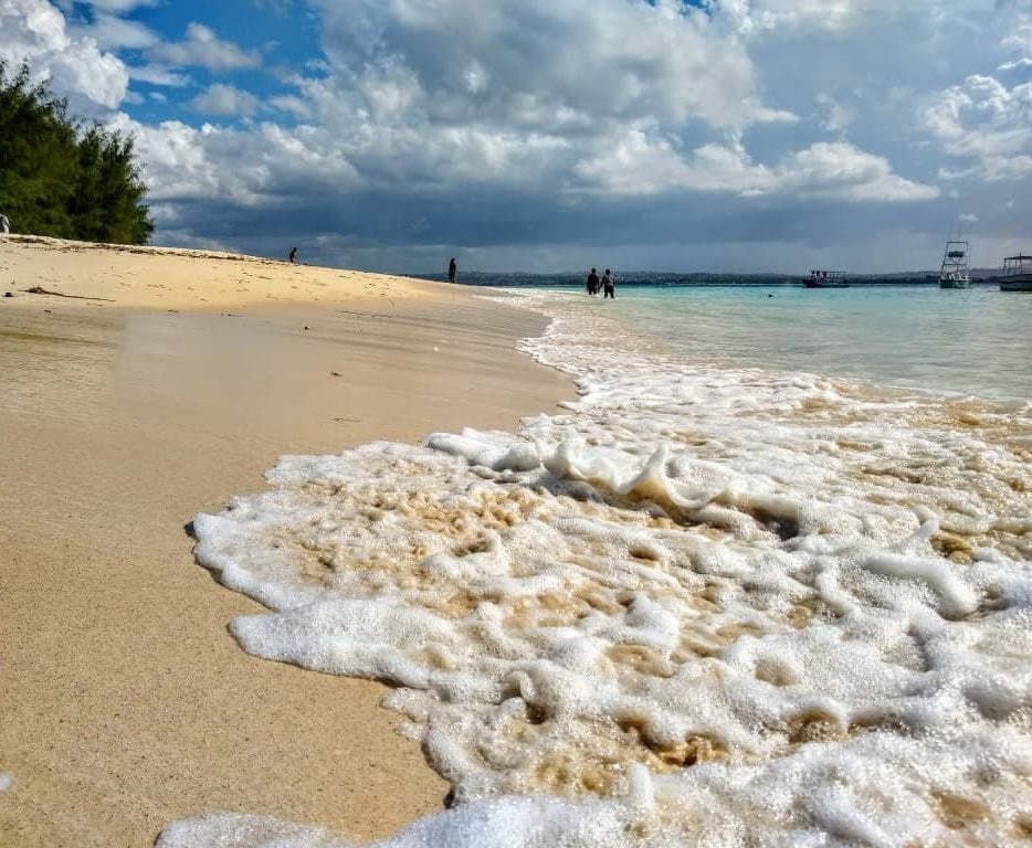 Mbudya Island