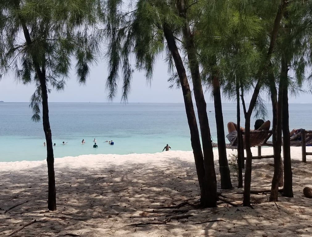 Mbudya Island