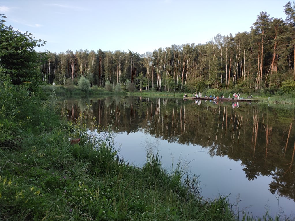 Meshchersky Forest Football Pitch