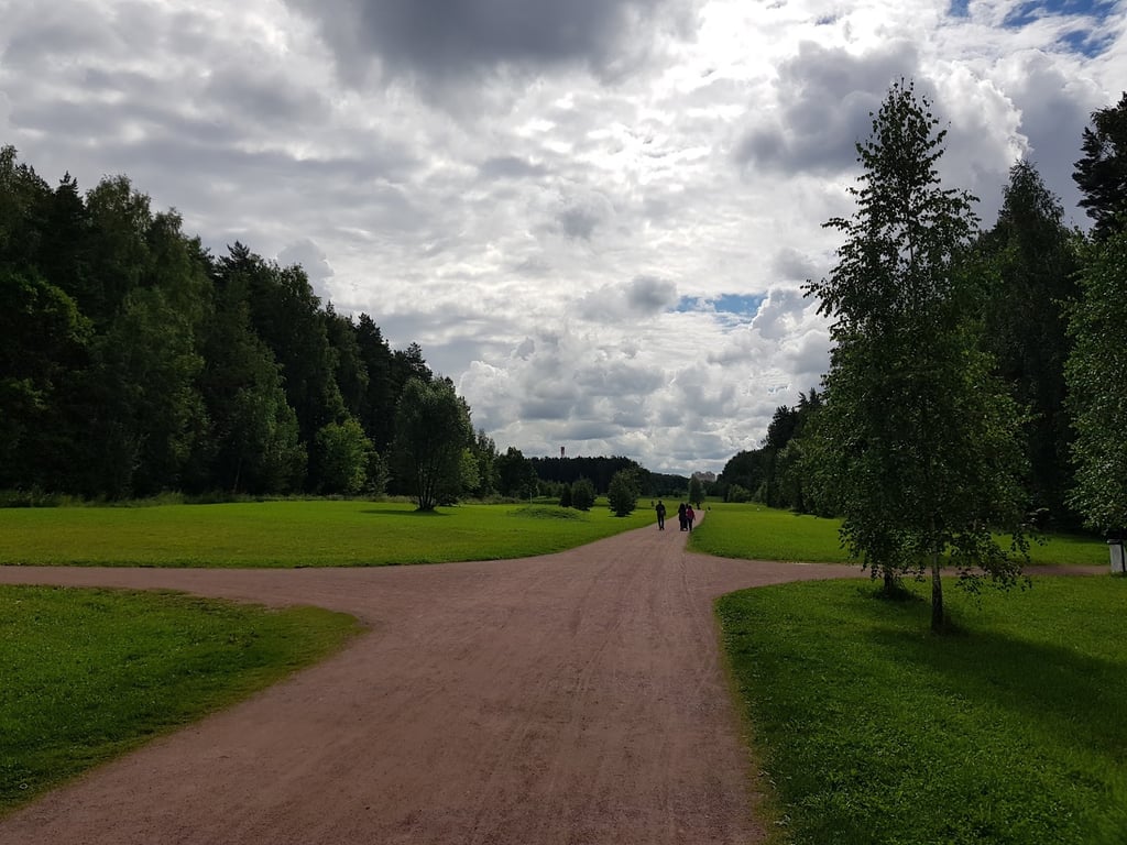 Meshchersky Forest Football Pitch