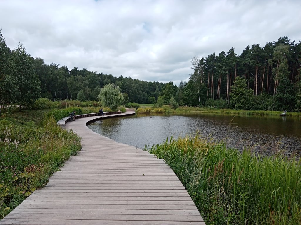 Meshchersky Forest Football Pitch