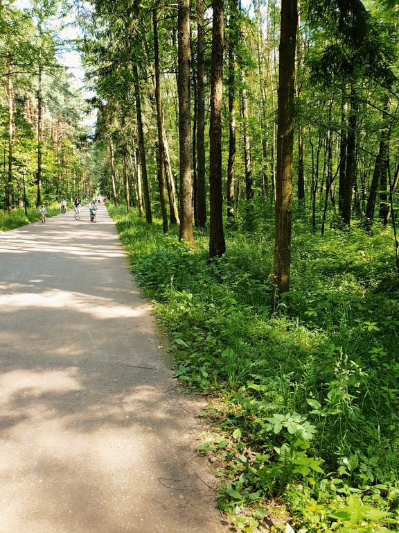 Meshchersky Forest Football Pitch