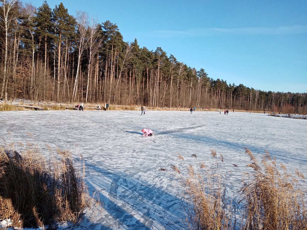 Meshchersky Forest Football Pitch