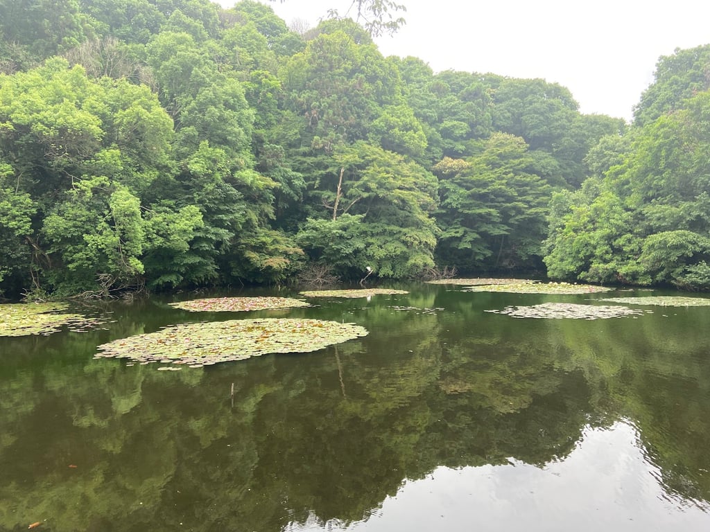 Meiji Shrine