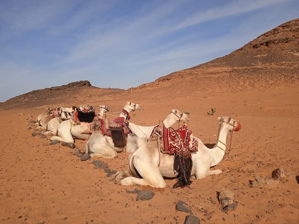 Meroe Pyramids