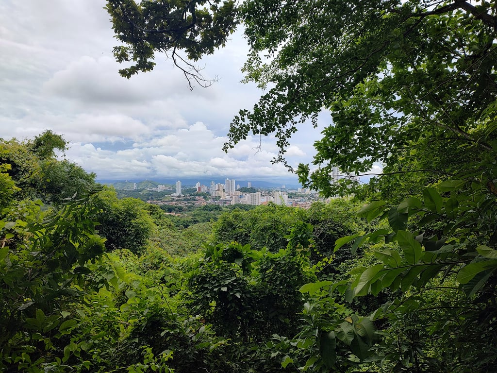 Metropolitan Park