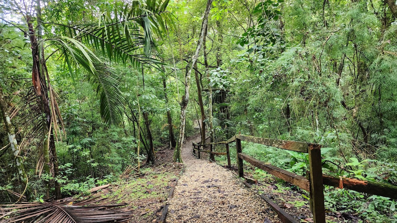 Metropolitan Park