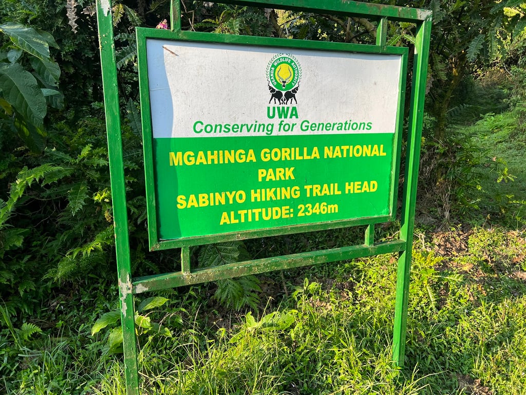 Mgahinga Gorilla National Park