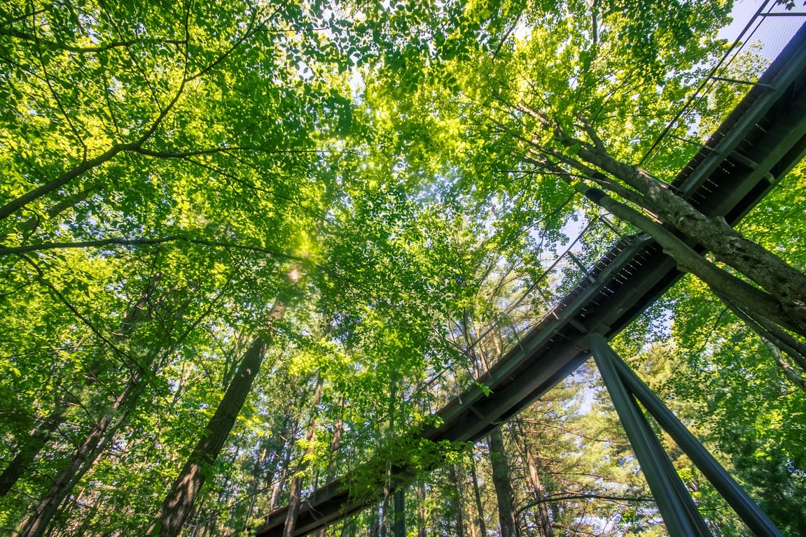 Dow Gardens