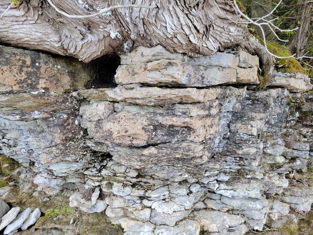 Fossil Ledges