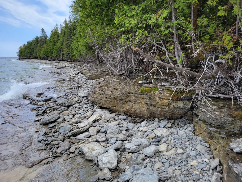 Fossil Ledges