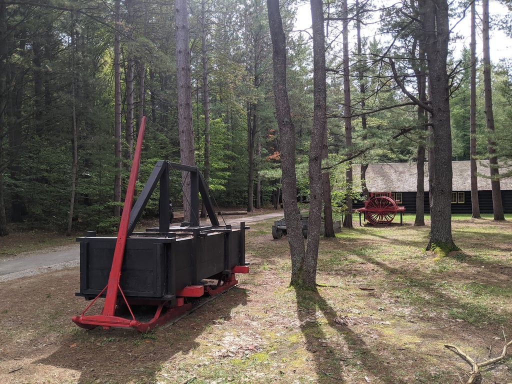 Hartwick Pines State Park