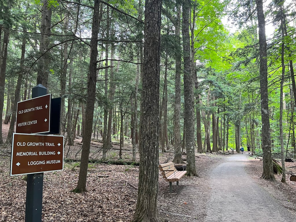 Hartwick Pines State Park