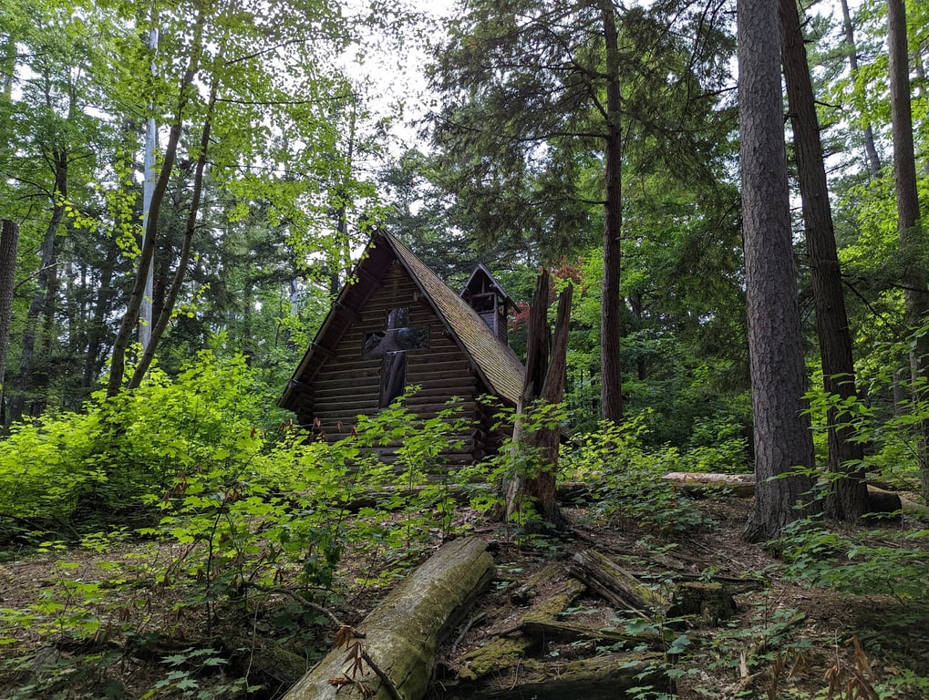 Hartwick Pines State Park