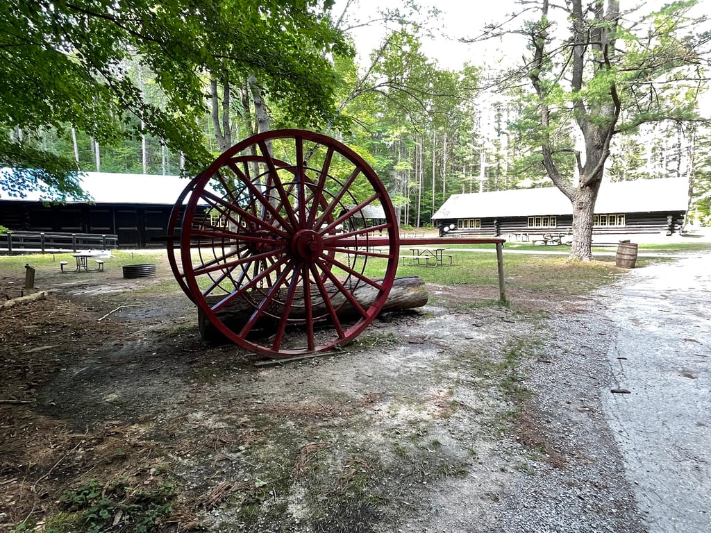 Hartwick Pines State Park
