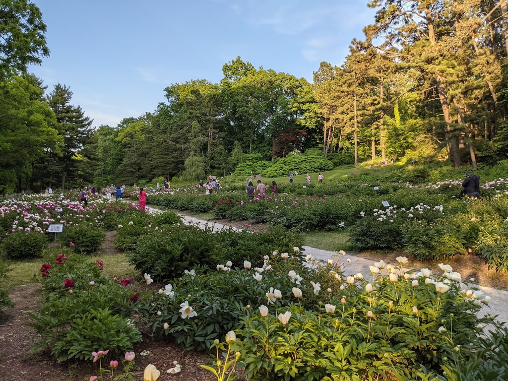 Nichols Arboretum
