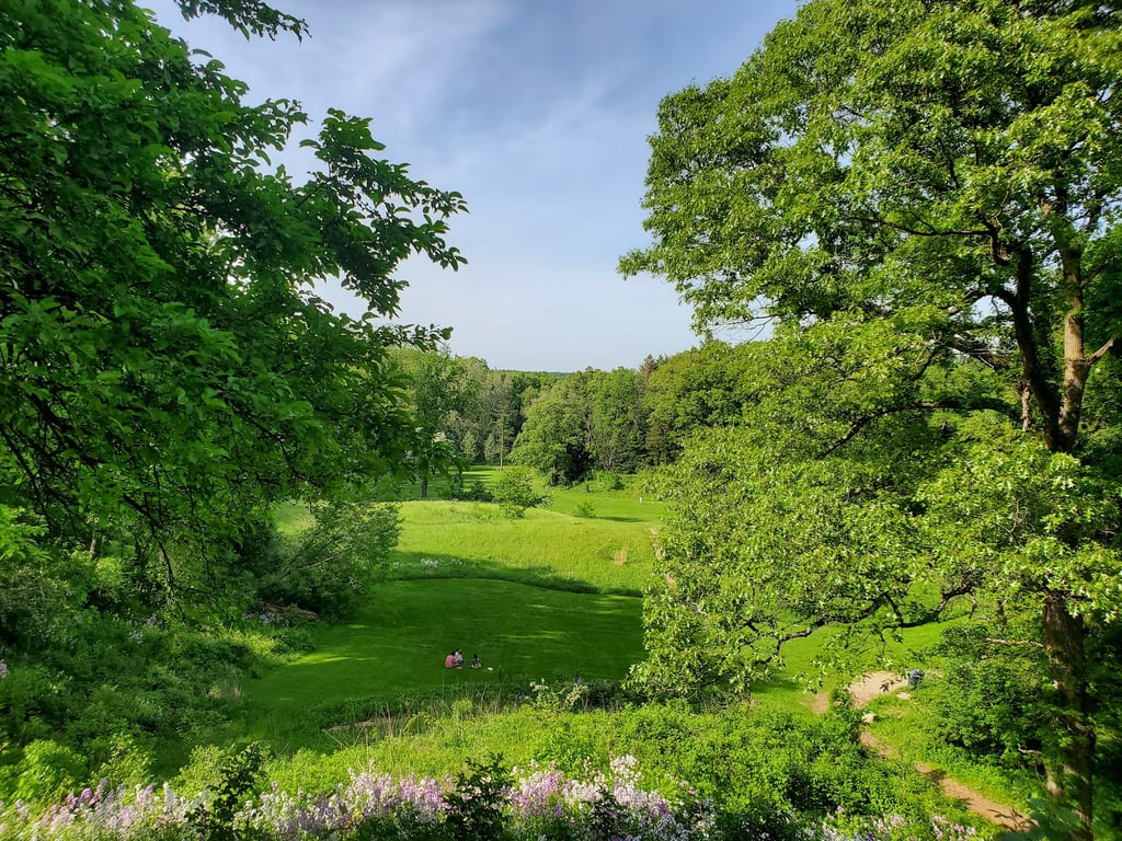 Nichols Arboretum