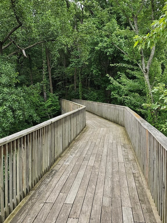 Sarett Nature Center Boardwalk