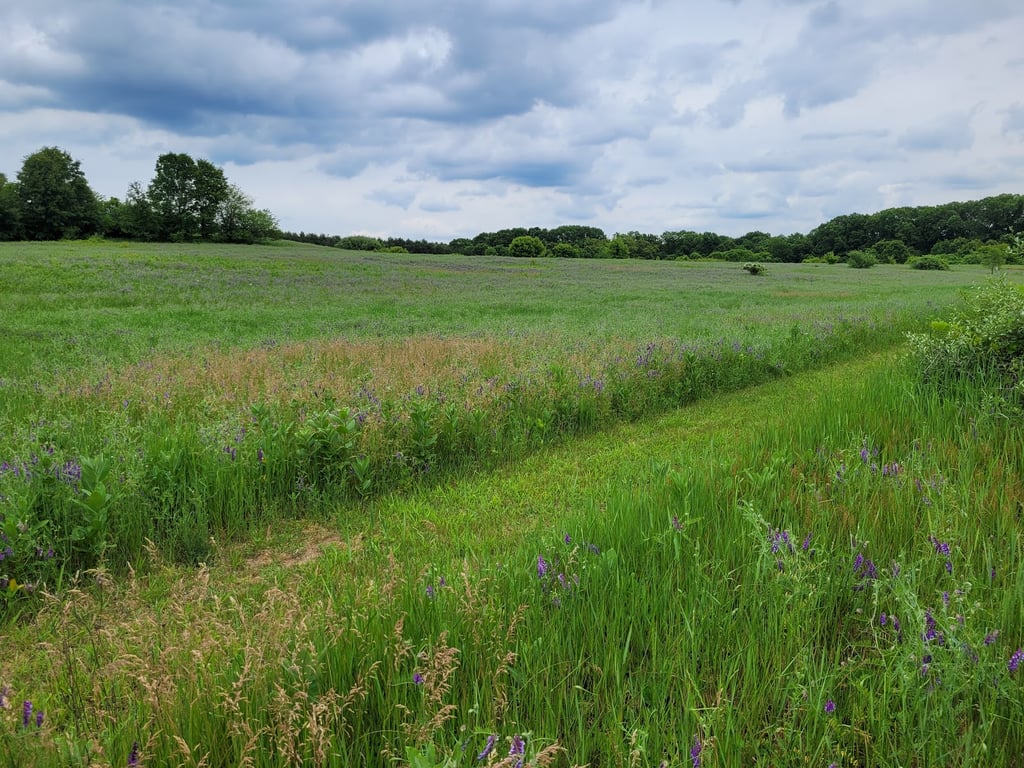 Sarett Nature Center Boardwalk