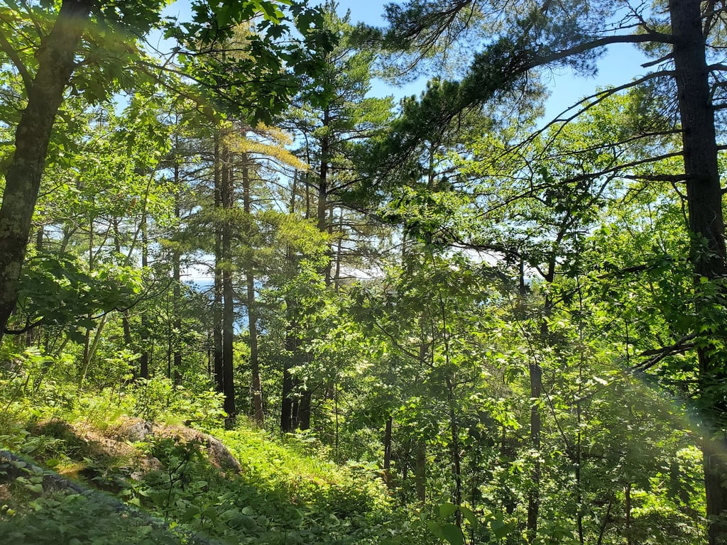 Sugarloaf Mountain