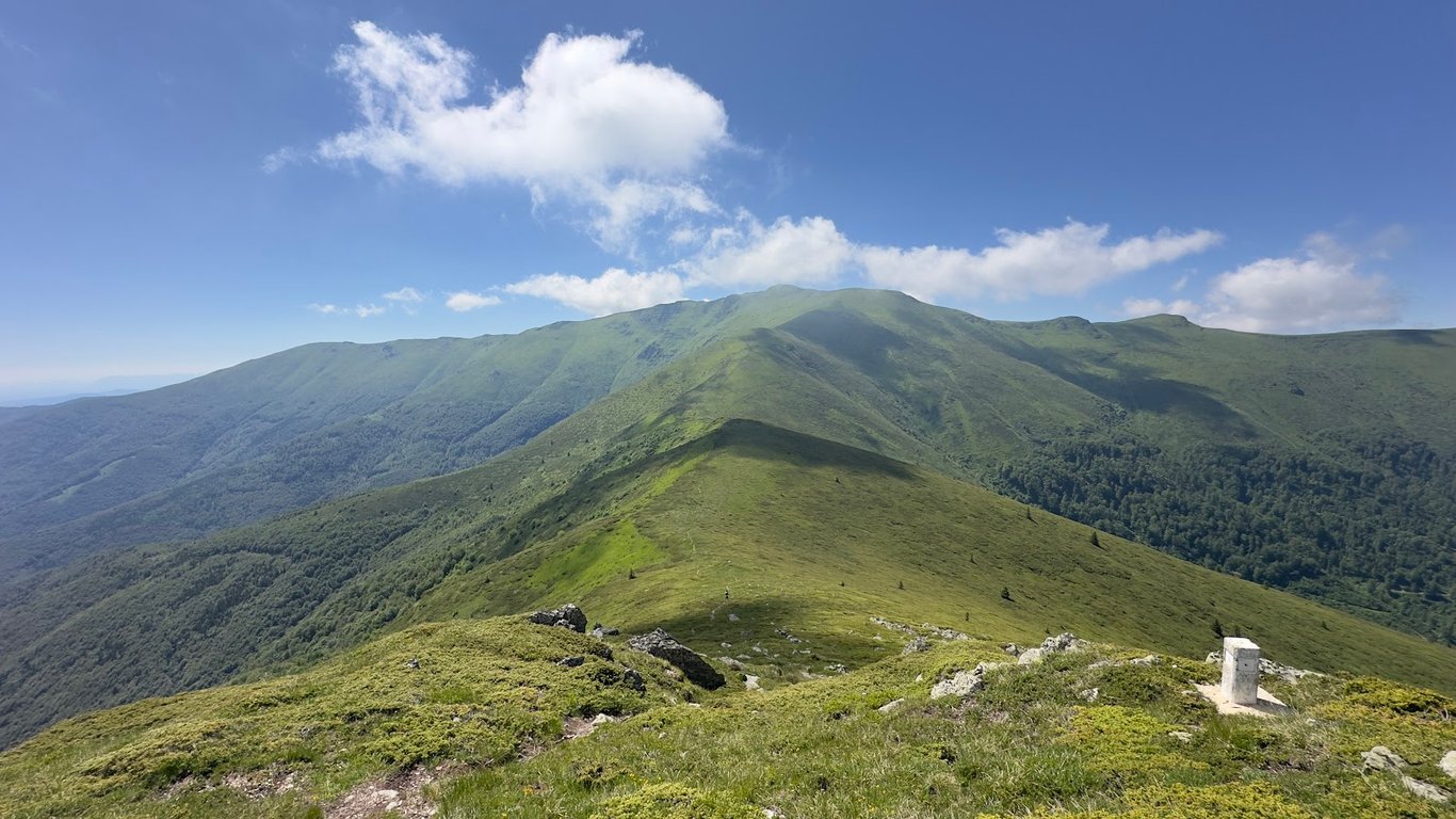 Midžor Peak