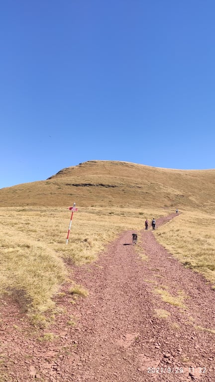 Midžor Peak