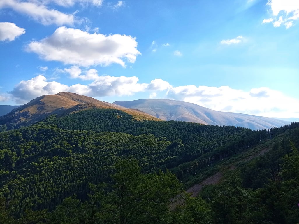 Midžor Peak