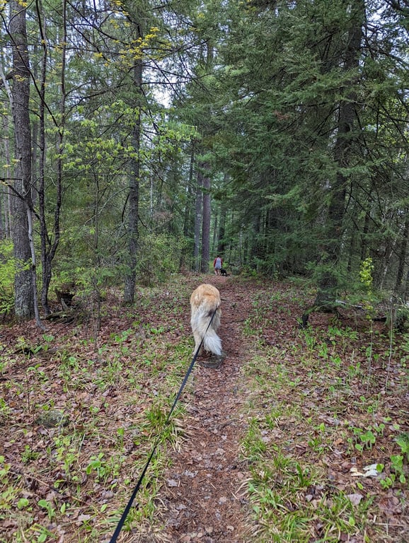 Bear Head Lake State Park