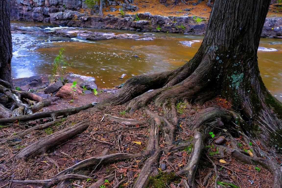 Gooseberry Falls State Park