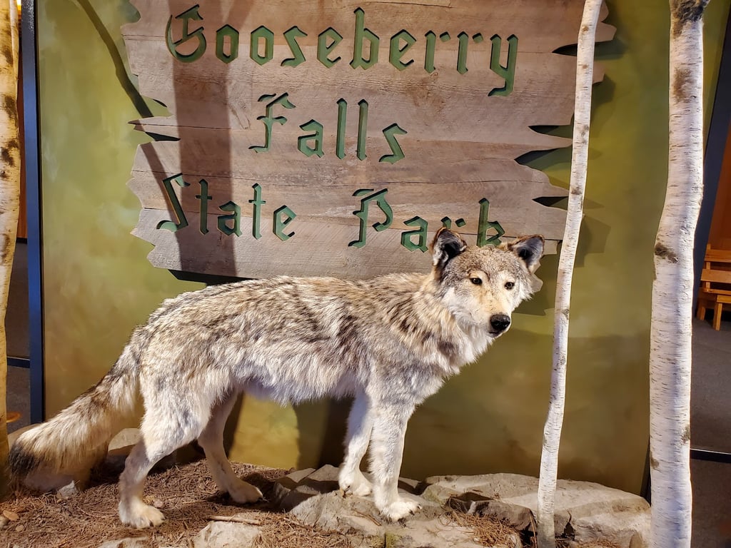 Lower Gooseberry Falls