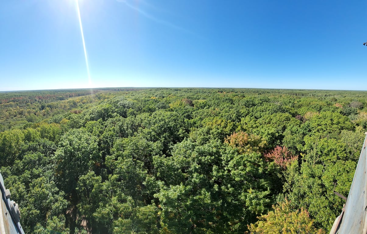 St. Croix State Park Fire Tower