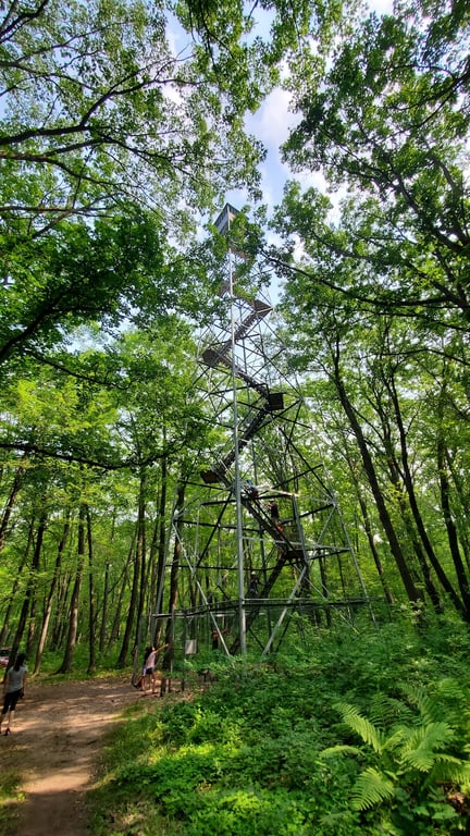 St. Croix State Park Fire Tower