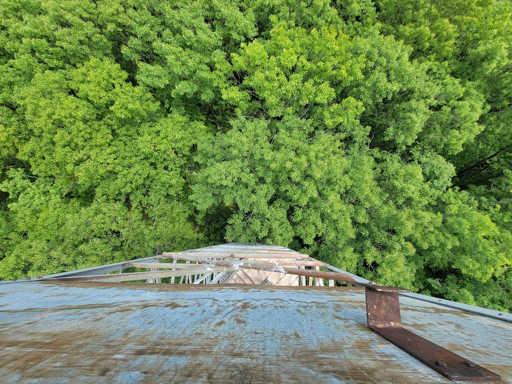 St. Croix State Park Fire Tower