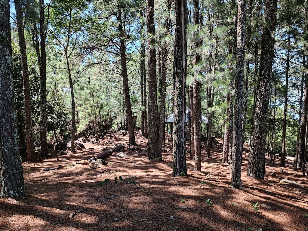Mirador Espiritu de la Montaña