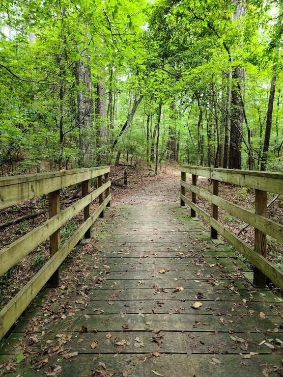 Bonita Lakes Park