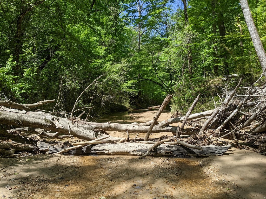 Clark Creek Nature Area