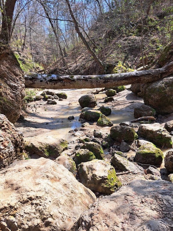 Clark Creek Nature Area