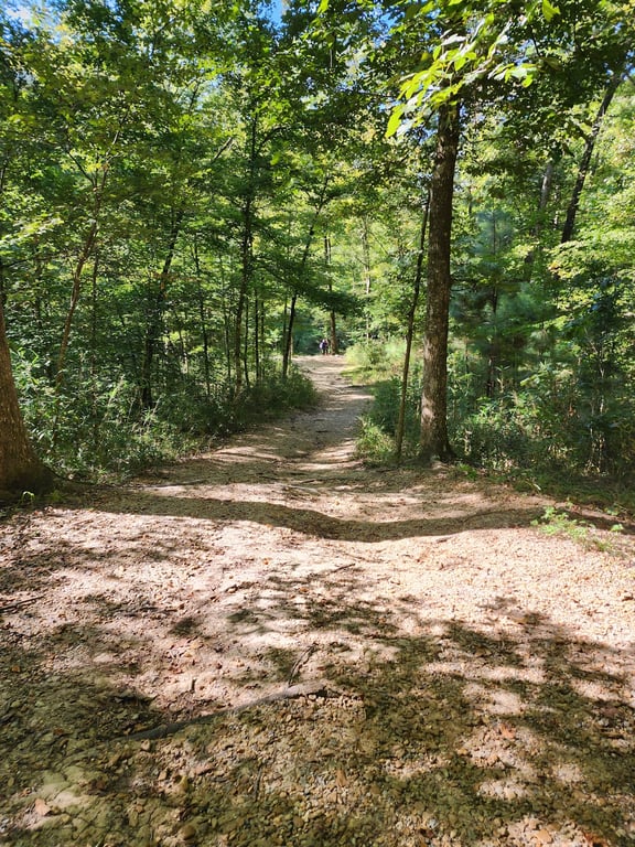 Clark Creek Nature Area