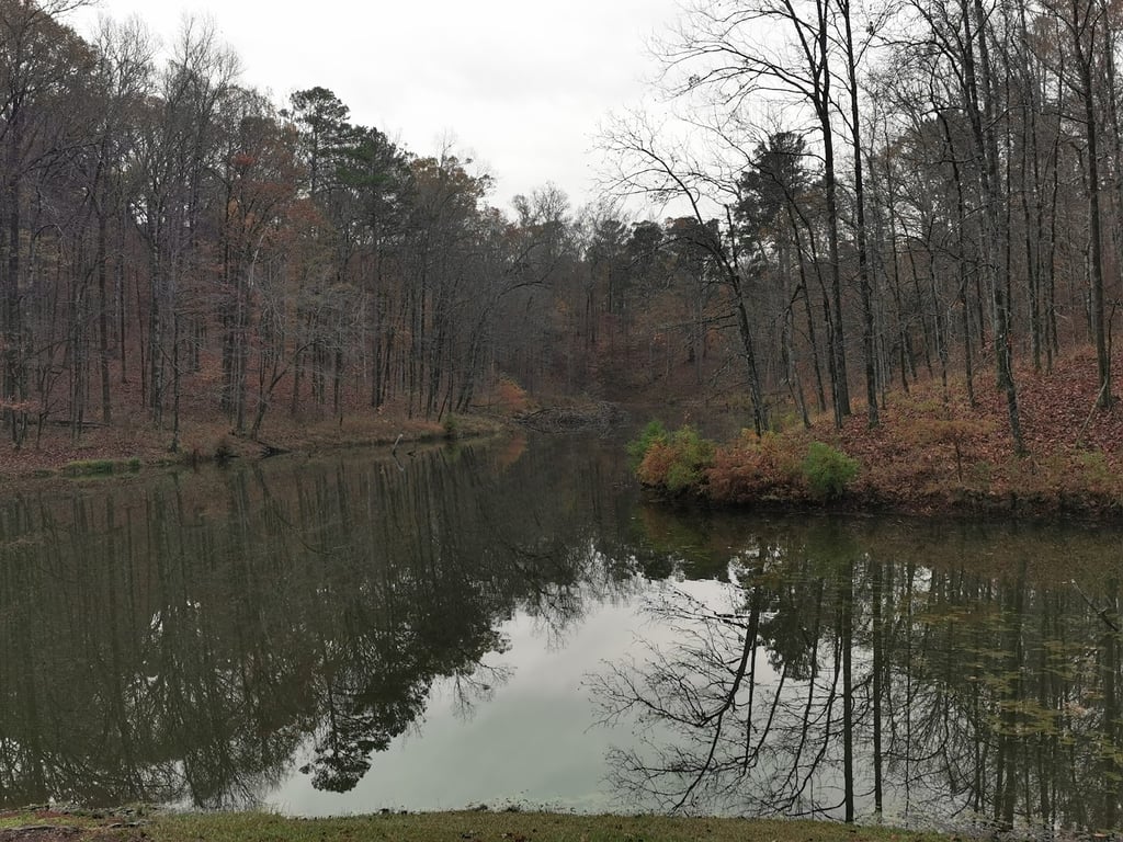 Legion State Park