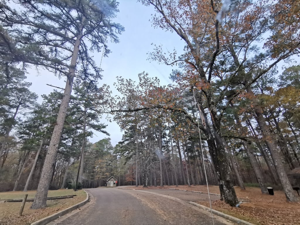 Legion State Park